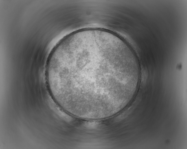X0000116461278200912231353