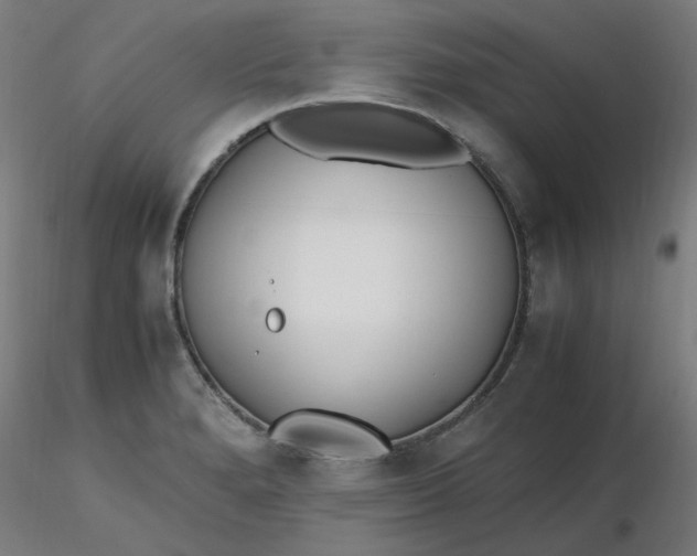 X0000116461280200912231353