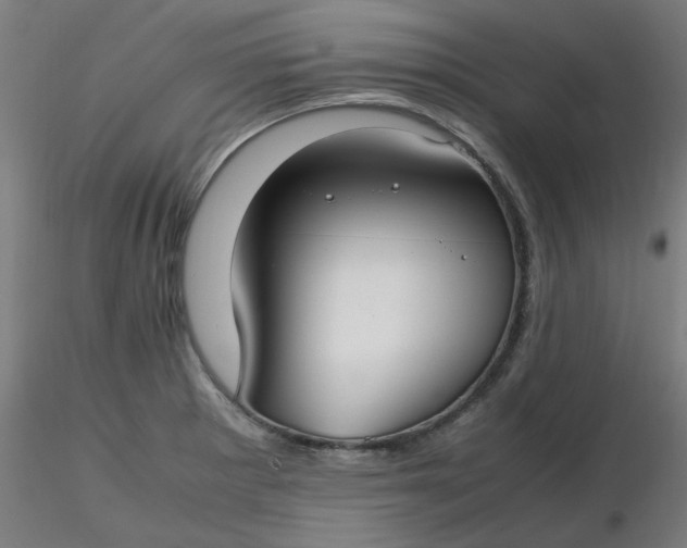 X0000116461281200912231353