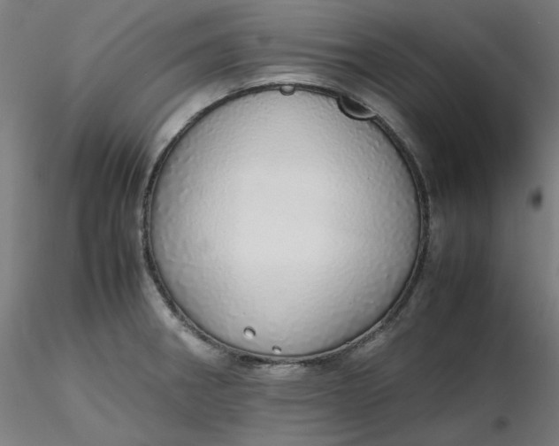 X0000116461282200912231353