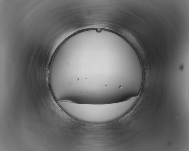 X0000116461284200912231353