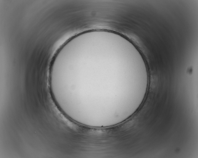 X0000116461286200912231353
