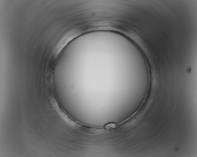 X0000116461289200912231353