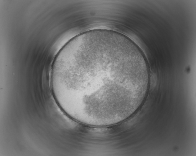 X0000116461290200912231353