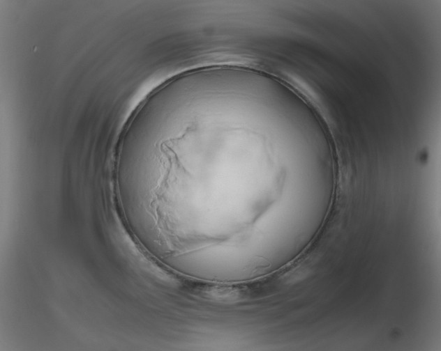 X0000116461291200912231353