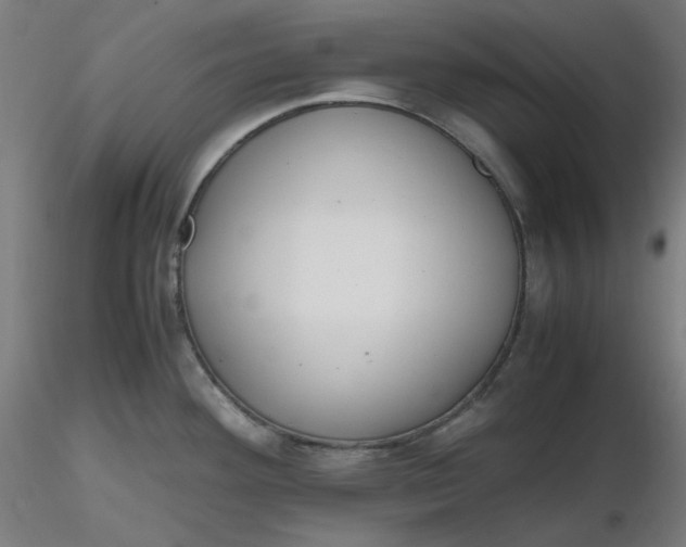 X0000116461292200912231353