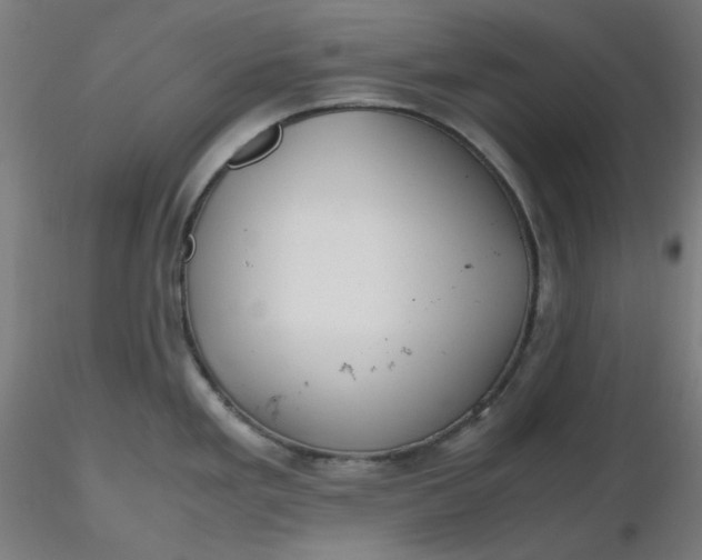 X0000116461293200912231353