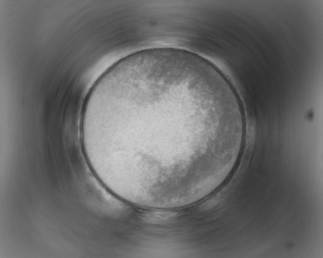 X0000116461294200912231353