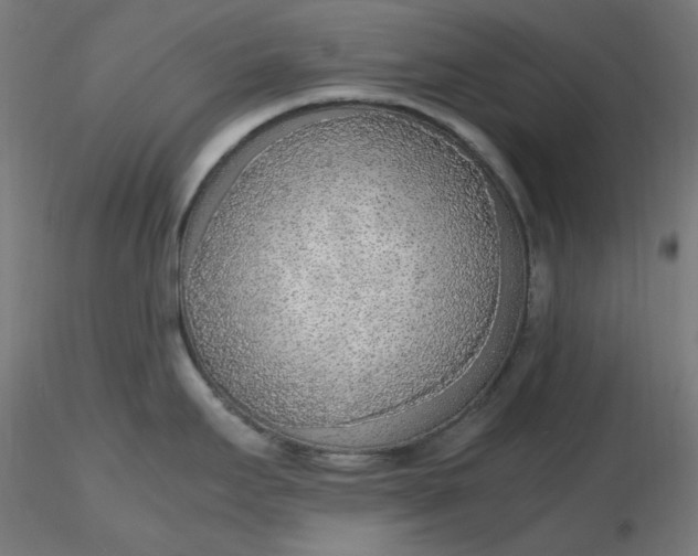 X0000116461295200912231353