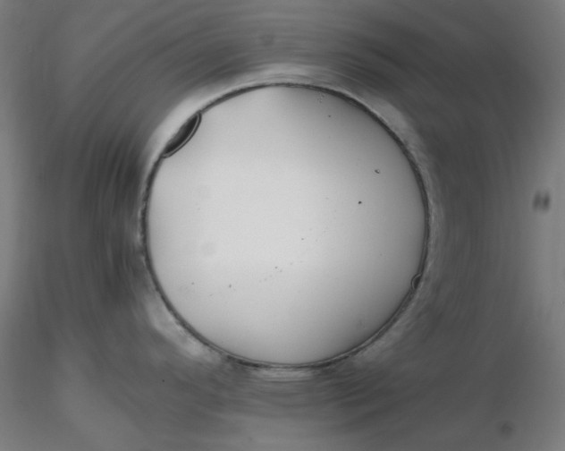 X0000116461296200912231353