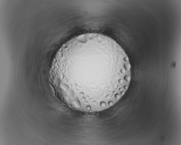 X0000116461297200912231352