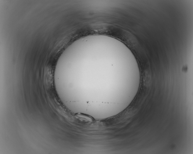 X0000116461298200912231352