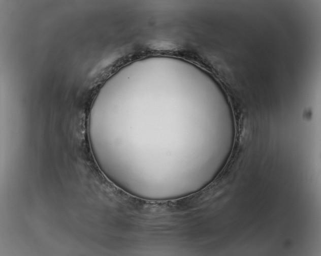 X0000116461301200912231352