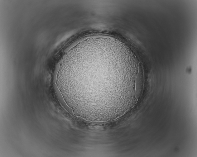 X0000116461302200912231352