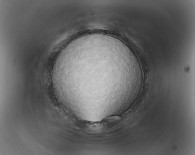 X0000116461303200912231352