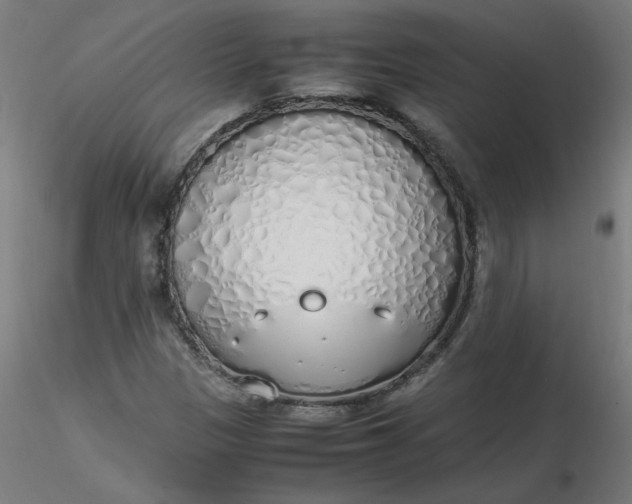 X0000116461305200912231352