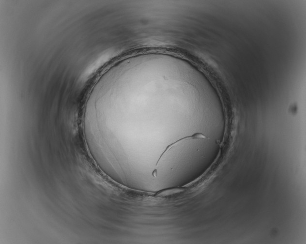 X0000116461306200912231352