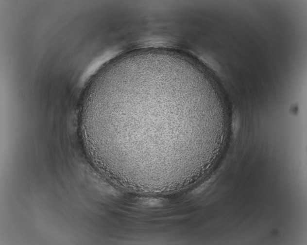 X0000116461309200912231352
