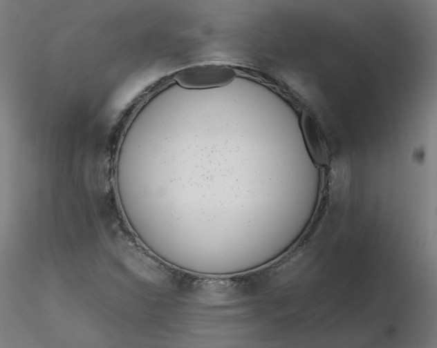X0000116461310200912231352