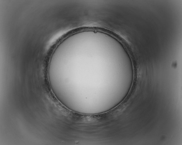 X0000116461311200912231352