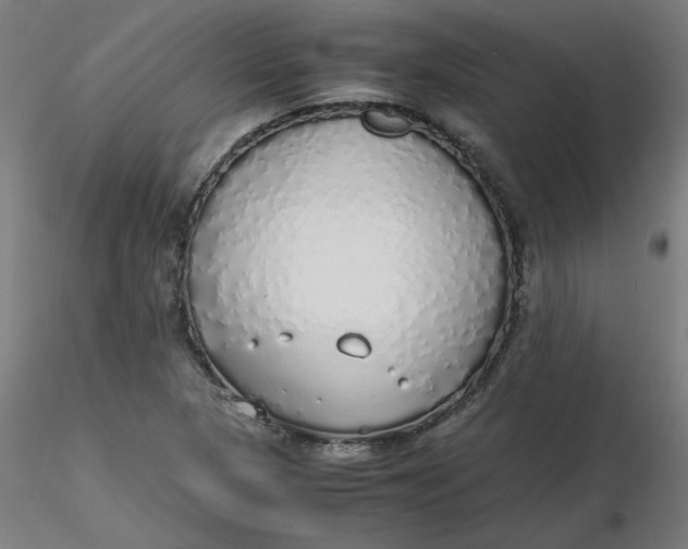 X0000116461313200912231352