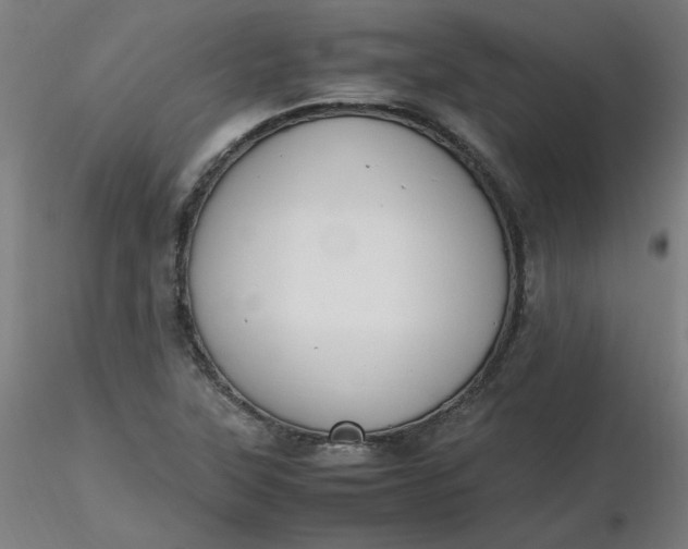 X0000116461315200912231352