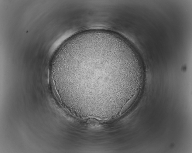 X0000116461317200912231352