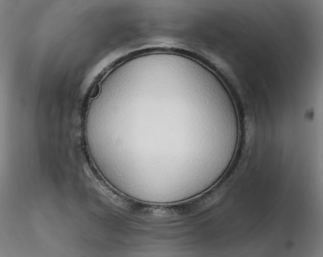 X0000116461318200912231352
