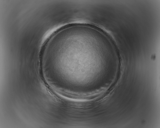 X0000116461319200912231352