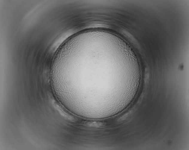 X0000116461321200912231353