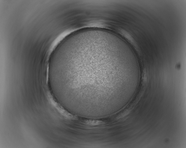 X0000116461323200912231353