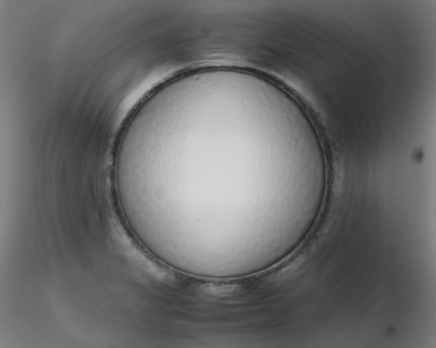 X0000116461325200912231353