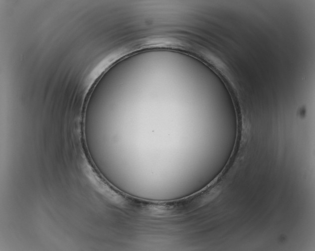X0000116461330200912231353