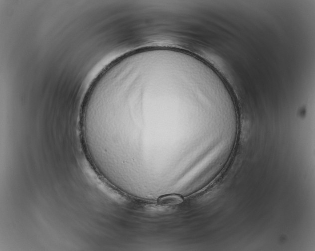 X0000116461331200912231353