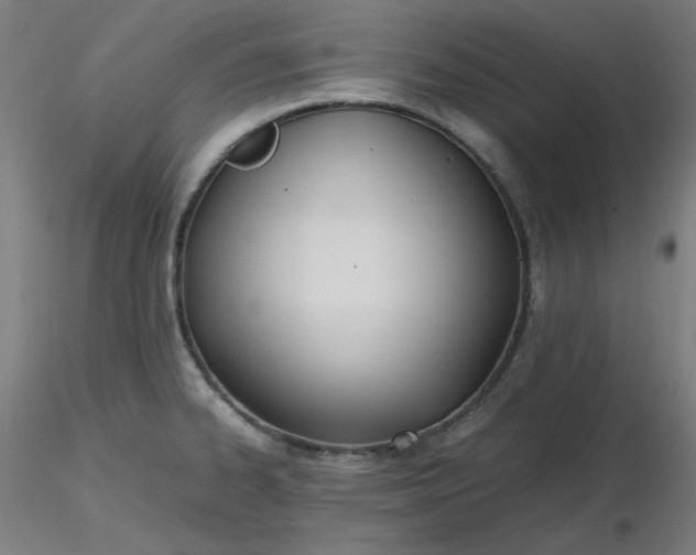 X0000116461334200912231353