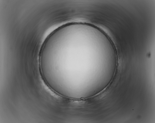X0000116461335200912231353