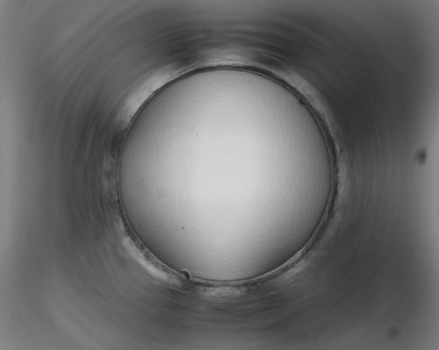 X0000116461337200912231353