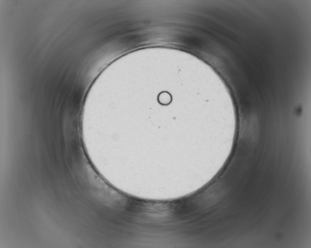 X0000116461338200912231353