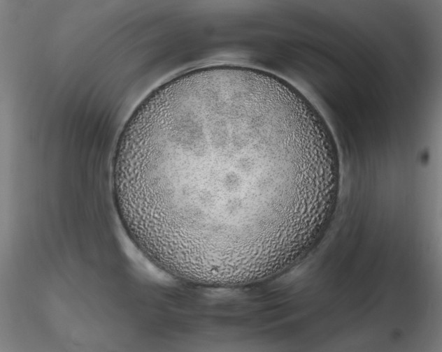 X0000116461341200912231353