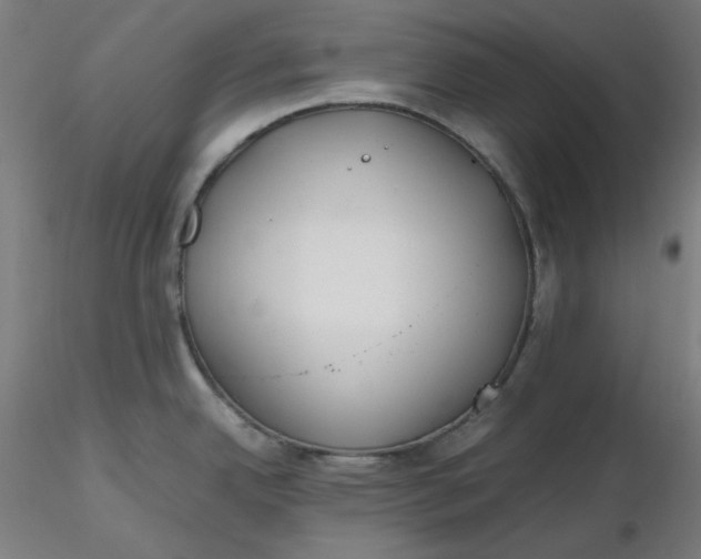 X0000116461342200912231353