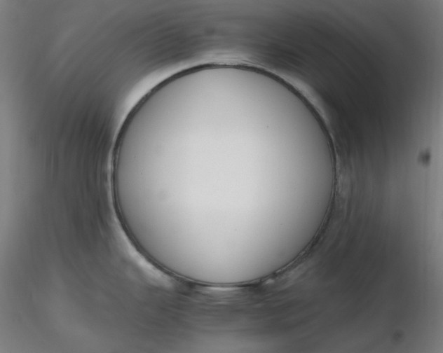 X0000116461343200912231353