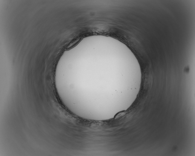 X0000116461345200912231352
