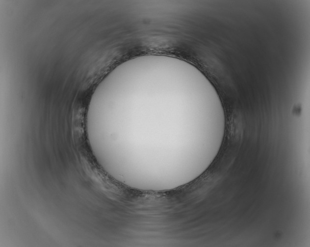 X0000116461346200912231352