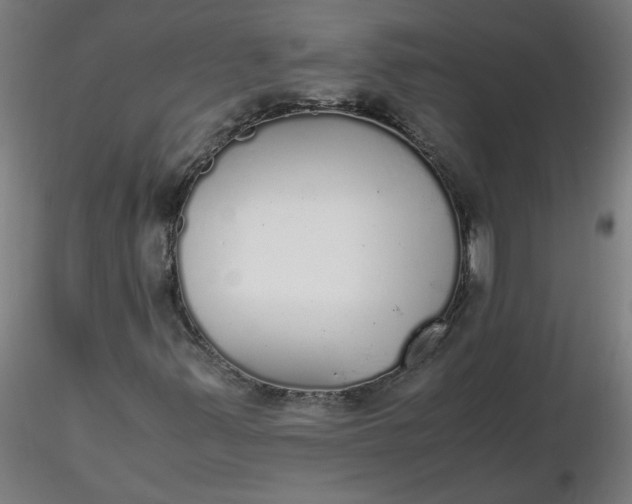 X0000116461347200912231352