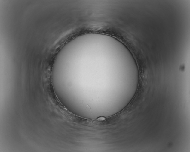X0000116461349200912231352