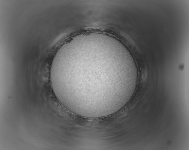 X0000116461350200912231352