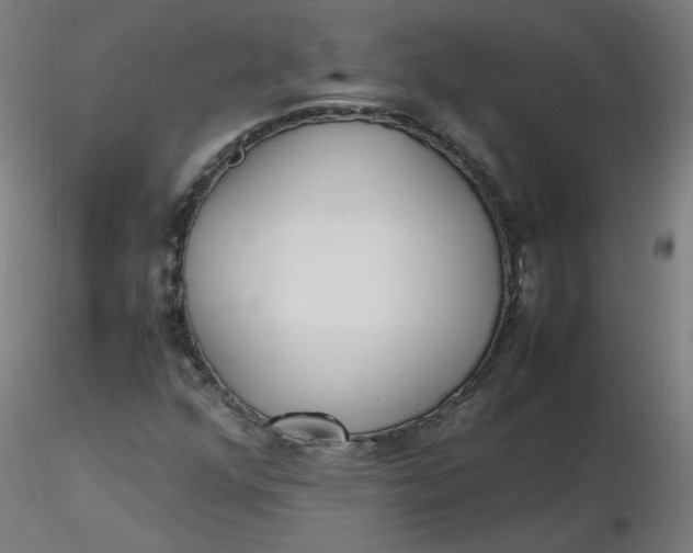 X0000116461352200912231352