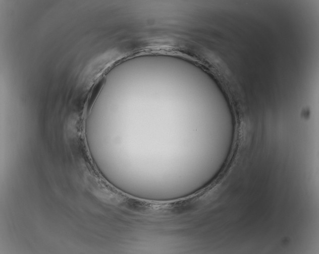 X0000116461353200912231352