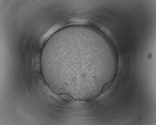 X0000116461354200912231352