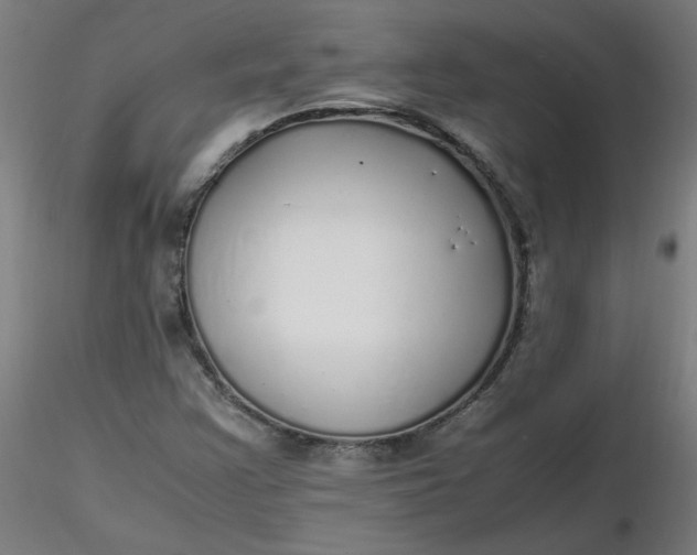 X0000116461355200912231352